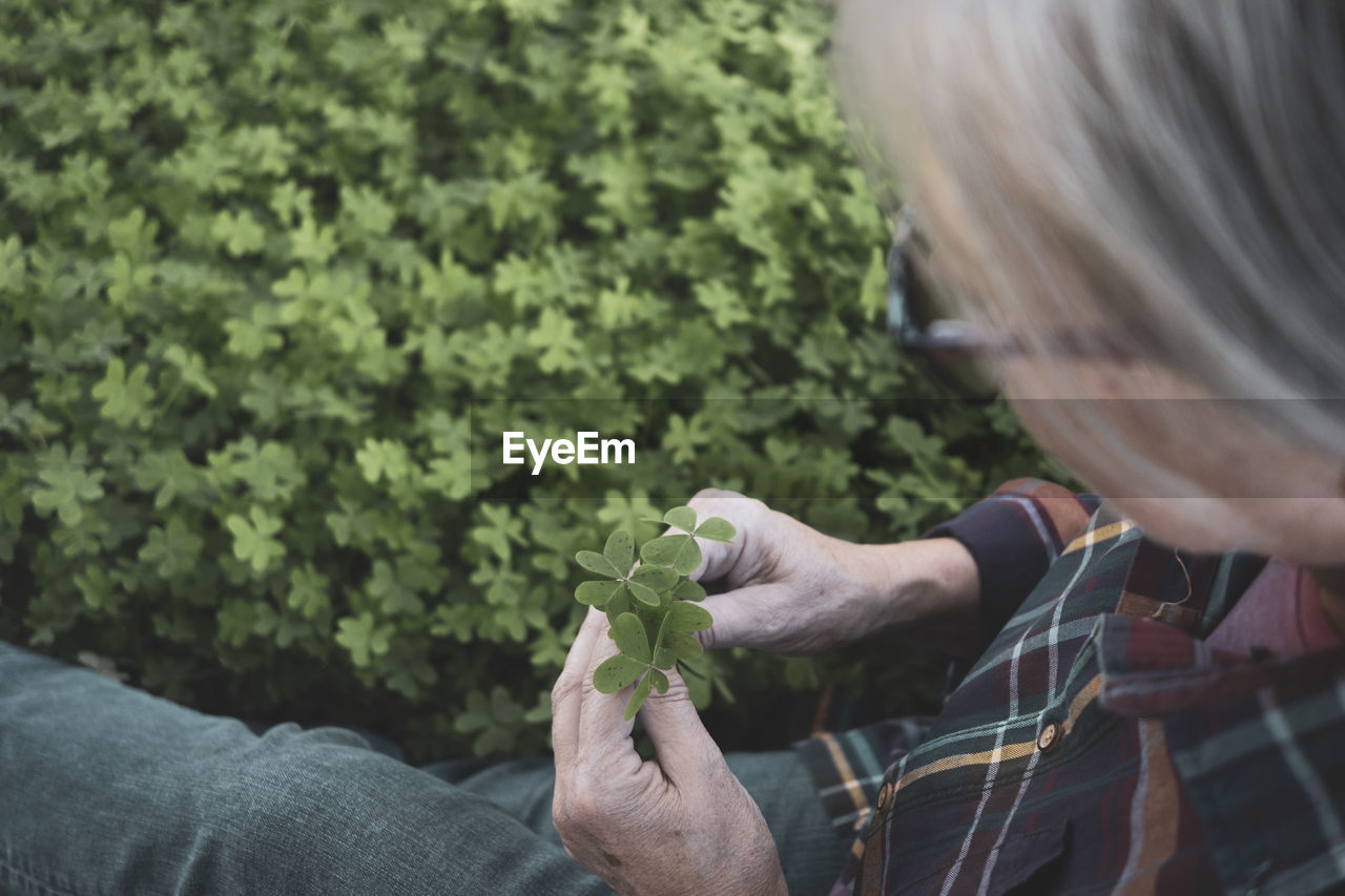 Midsection of woman holding hands by plants