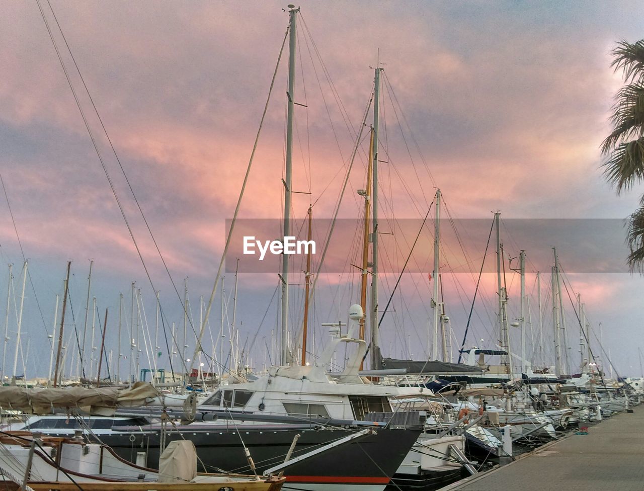 SAILBOATS MOORED IN HARBOR