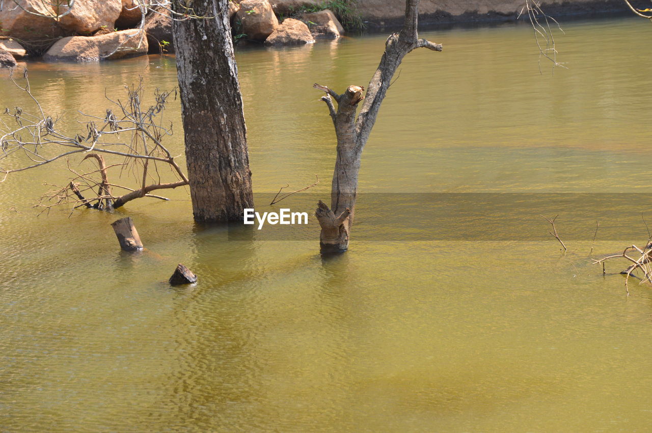 SCENIC VIEW OF LAKE