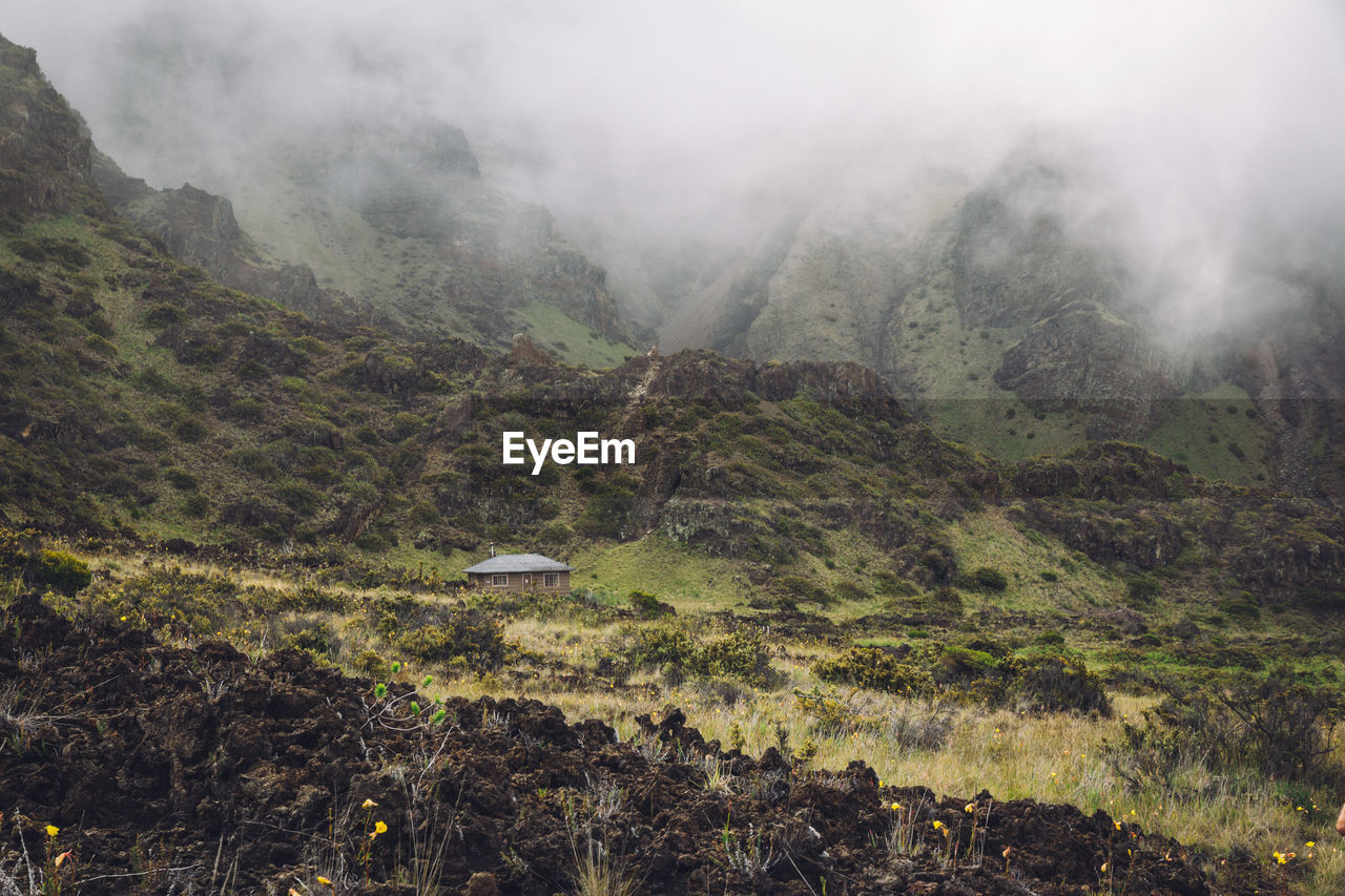 SCENIC VIEW OF TREE MOUNTAIN AGAINST SKY DURING FOGGY WEATHER