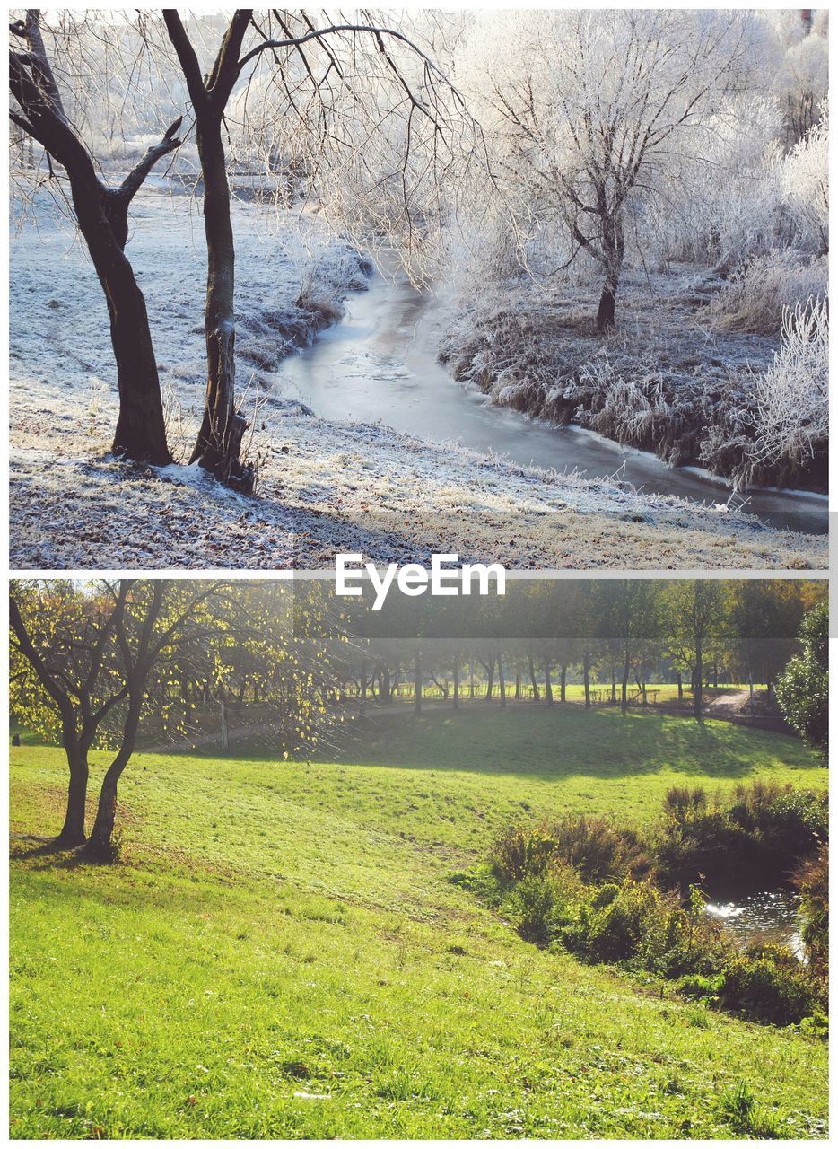 Multiple image of green and snow covered field