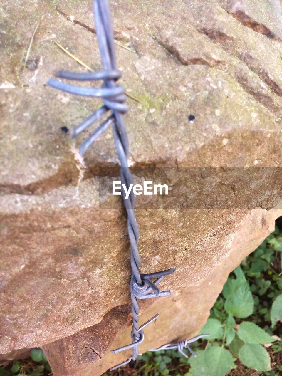 Close-up of barbed wire fence by rock