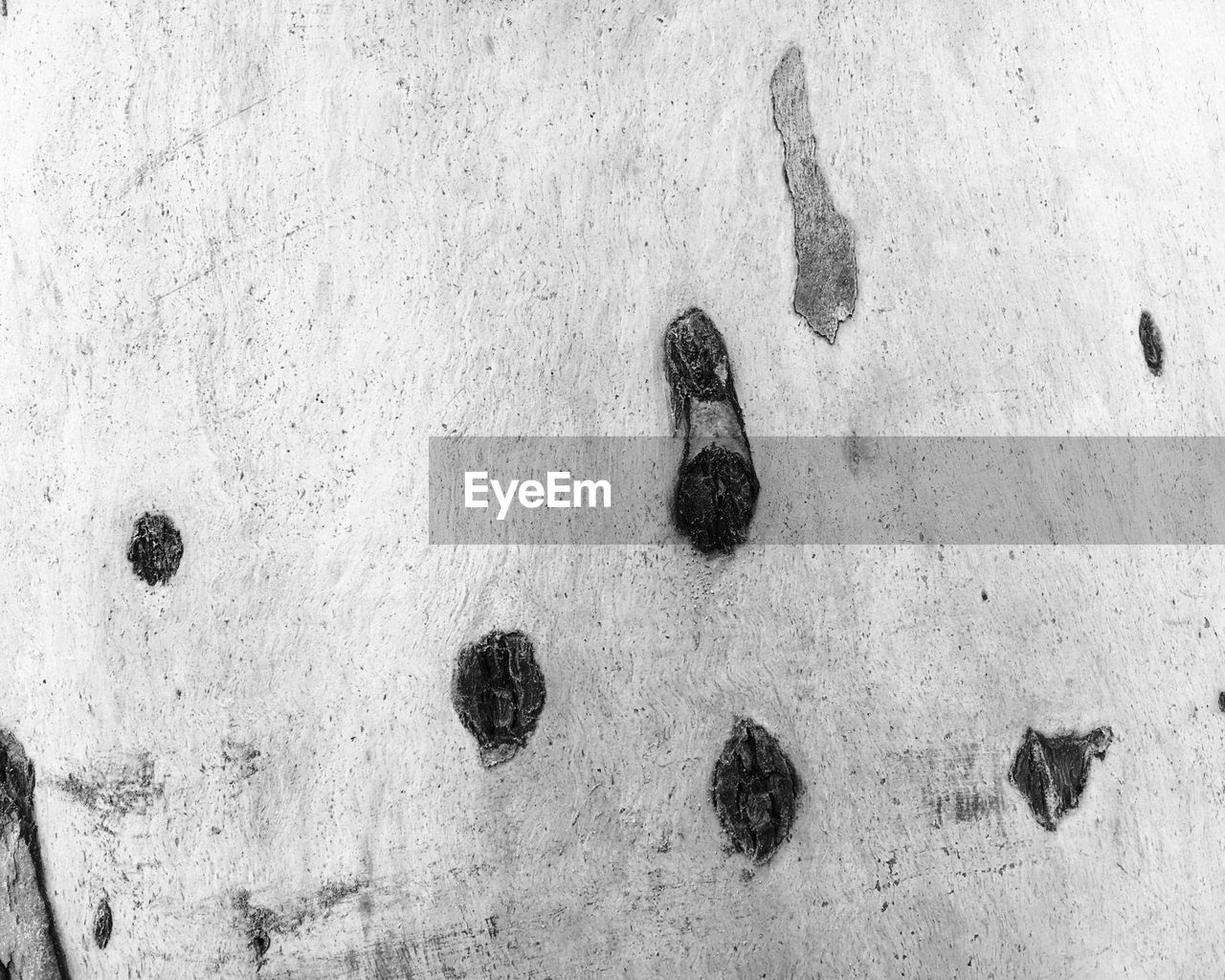 High angle view of footprints on snow covered wall