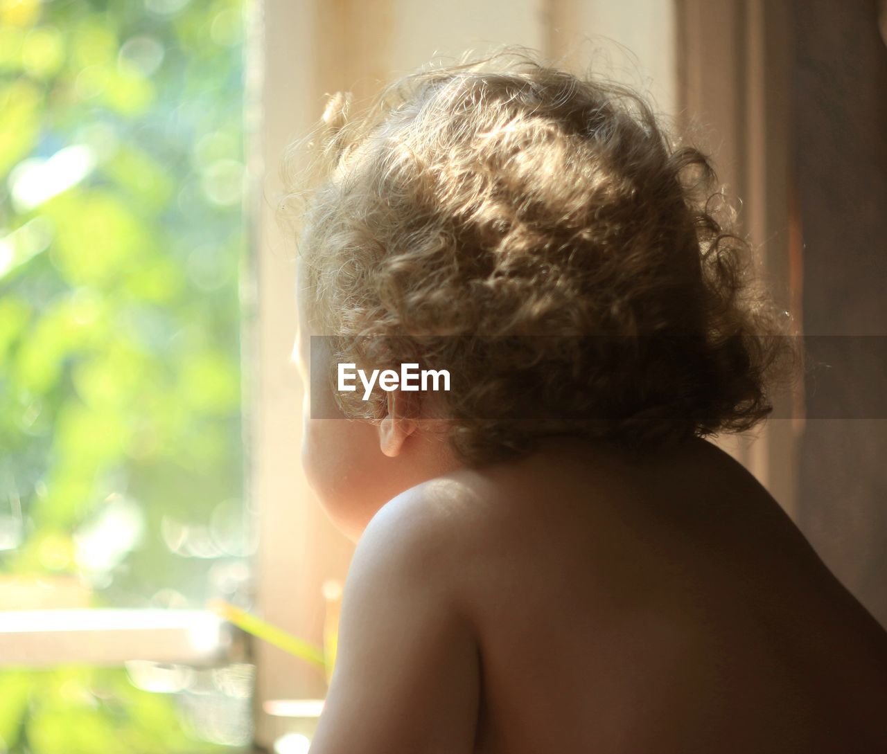 Rear view of shirtless baby looking through window