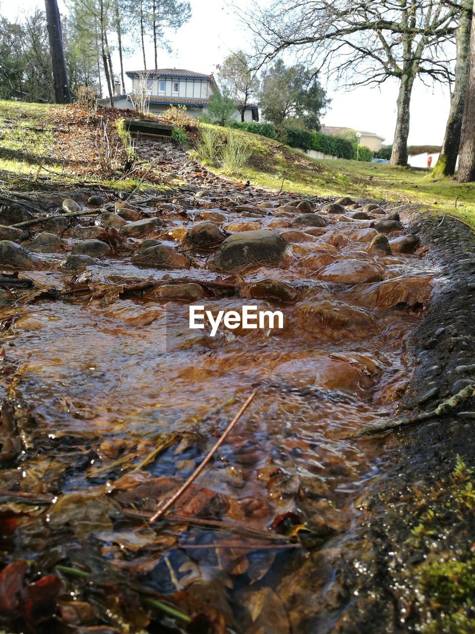 CLOSE-UP OF WATER IN PARK AGAINST SKY