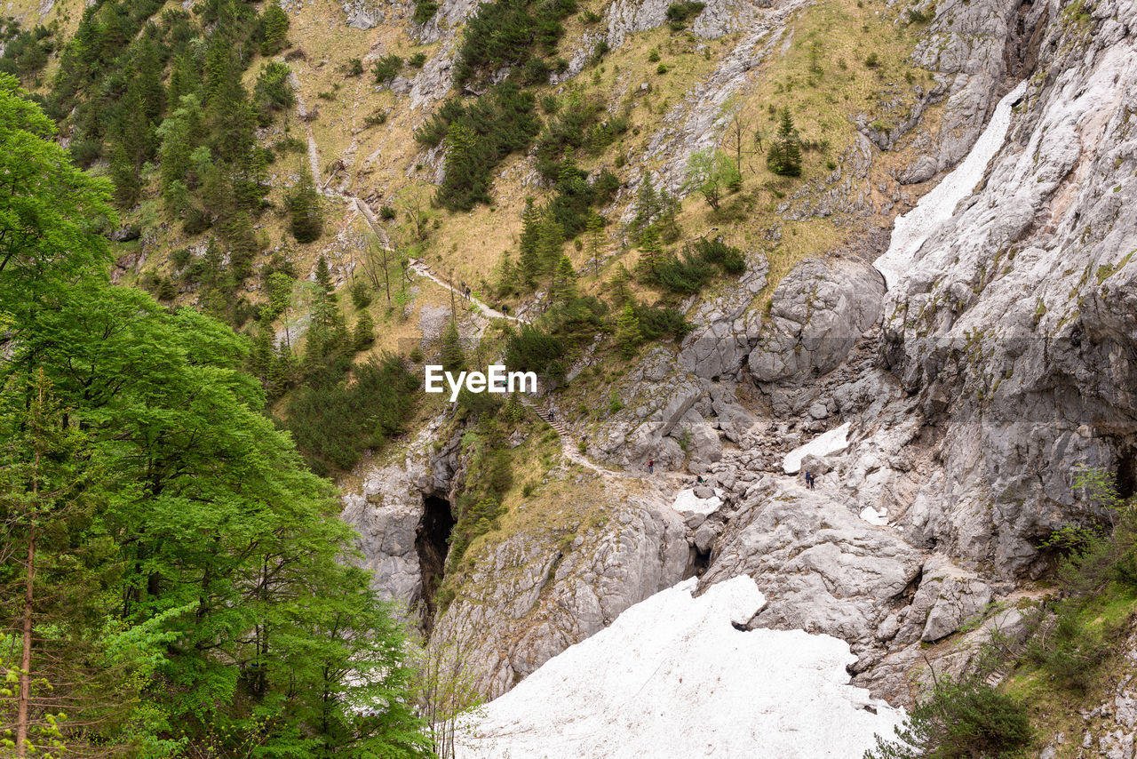 HIGH ANGLE VIEW OF STREAM AMIDST ROCKS AND TREES ON MOUNTAIN