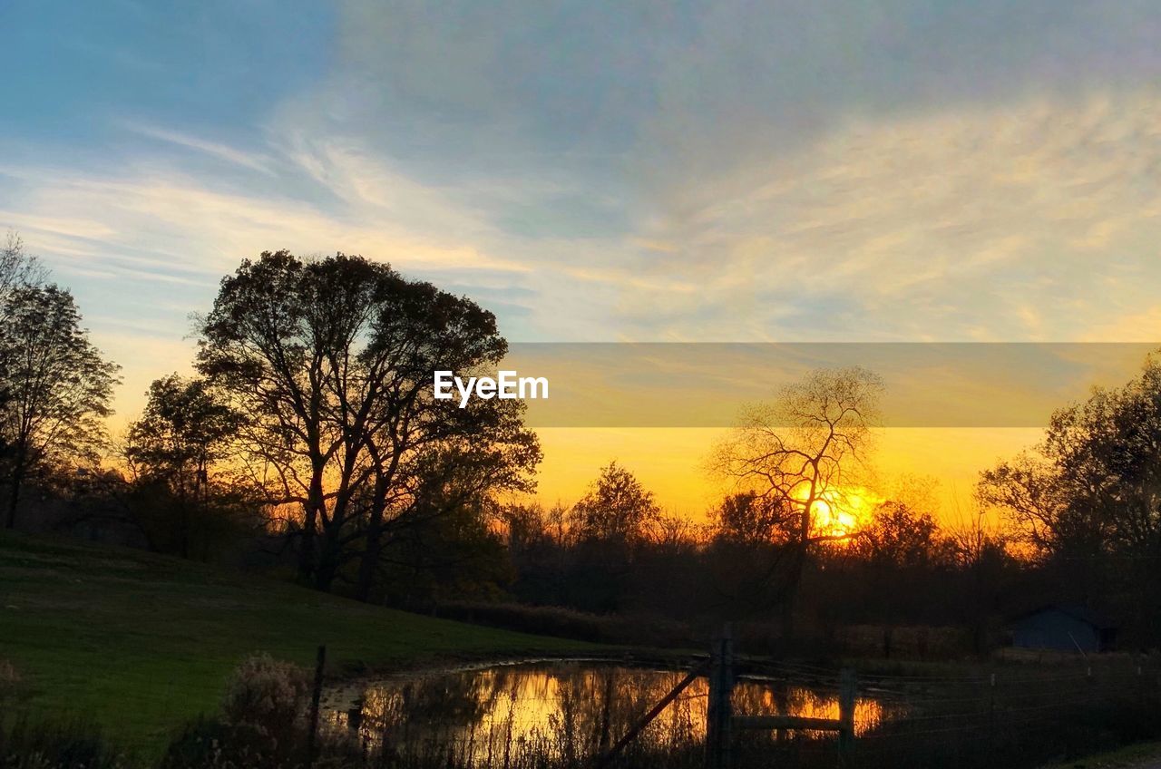 SILHOUETTE TREES ON FIELD AGAINST ORANGE SKY