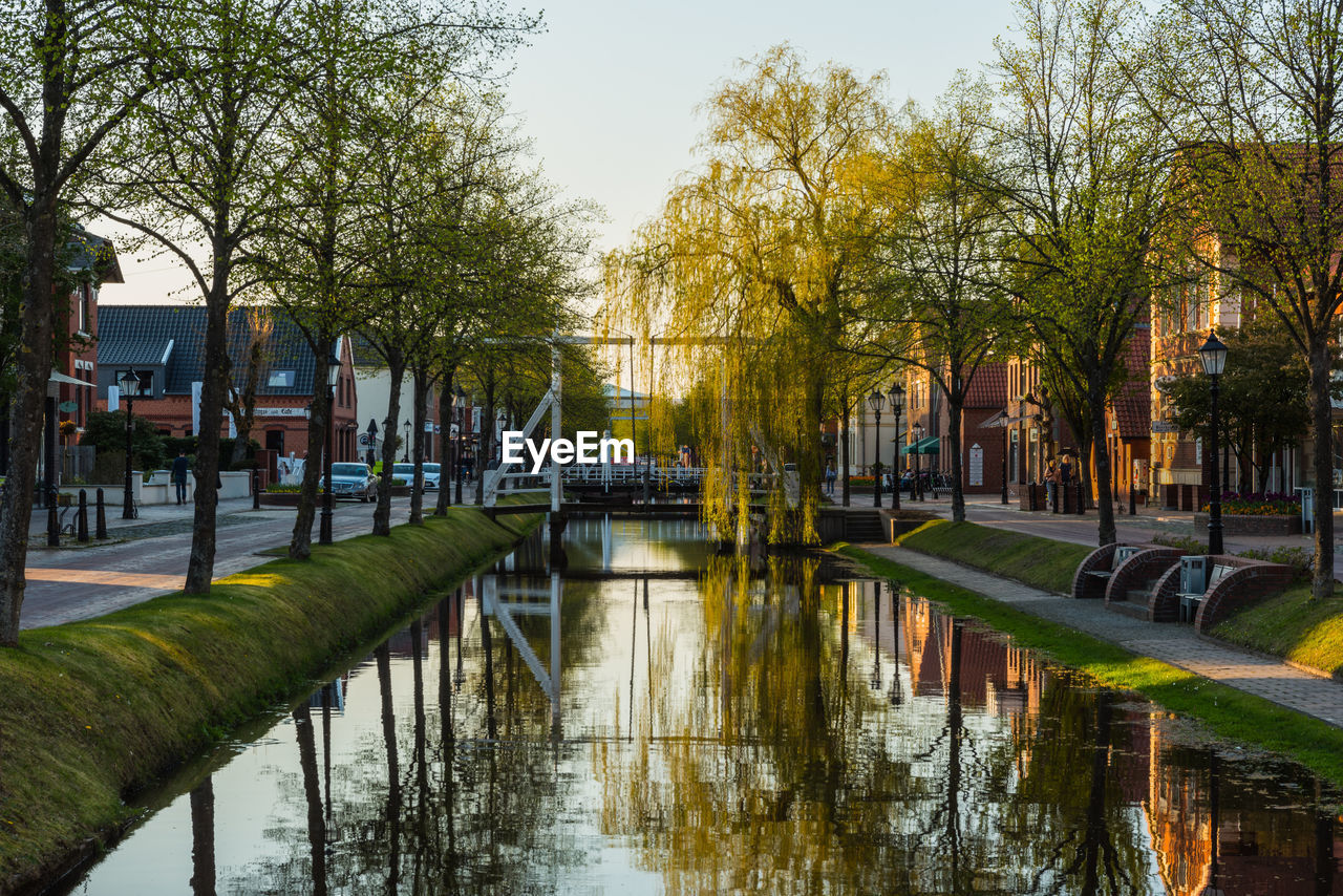 CANAL AMIDST TREES IN CITY