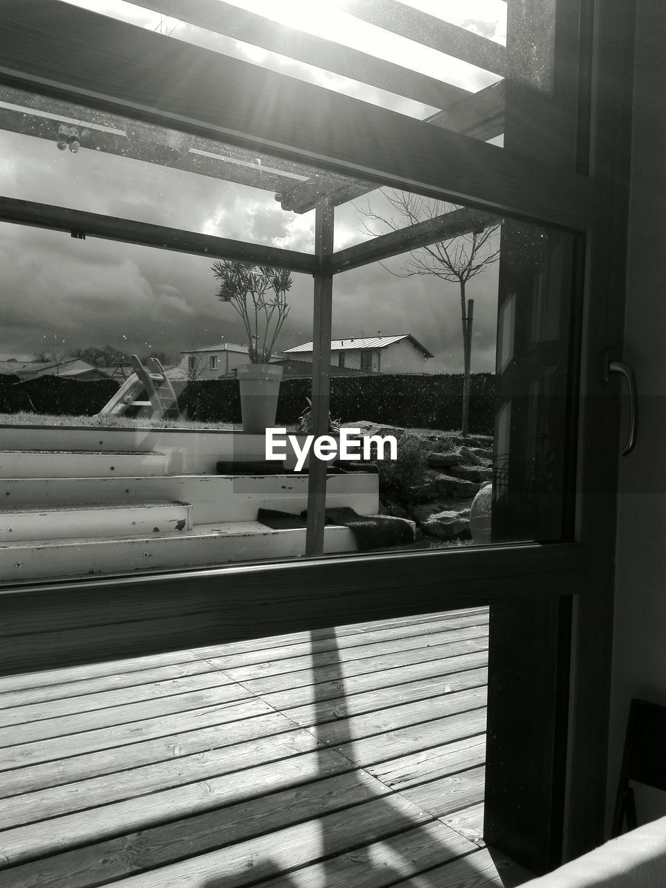 VIEW OF TREES AGAINST SKY