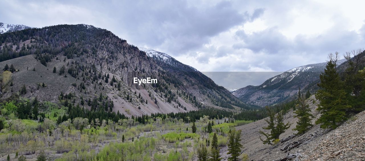 Sun valley badger canyon sawtooth mountains national forest landscape trail creek road idaho usa