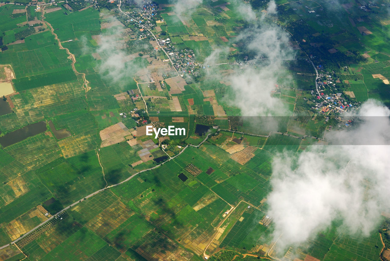 HIGH ANGLE VIEW OF AGRICULTURAL LAND