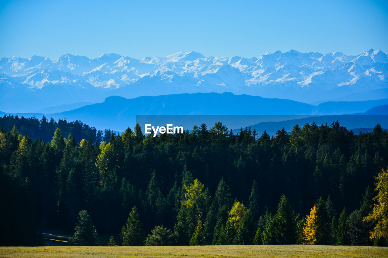 Scenic view of trees and mountains against blue sky