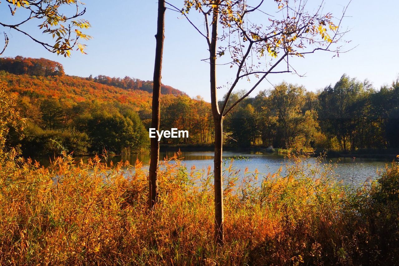 Reitlingstal, Elm Herbststimmung Beautiful View EyeEm Selects Nature_collection Beauty In Nature From My Point Of View Herbstfarrben Autumn Mood