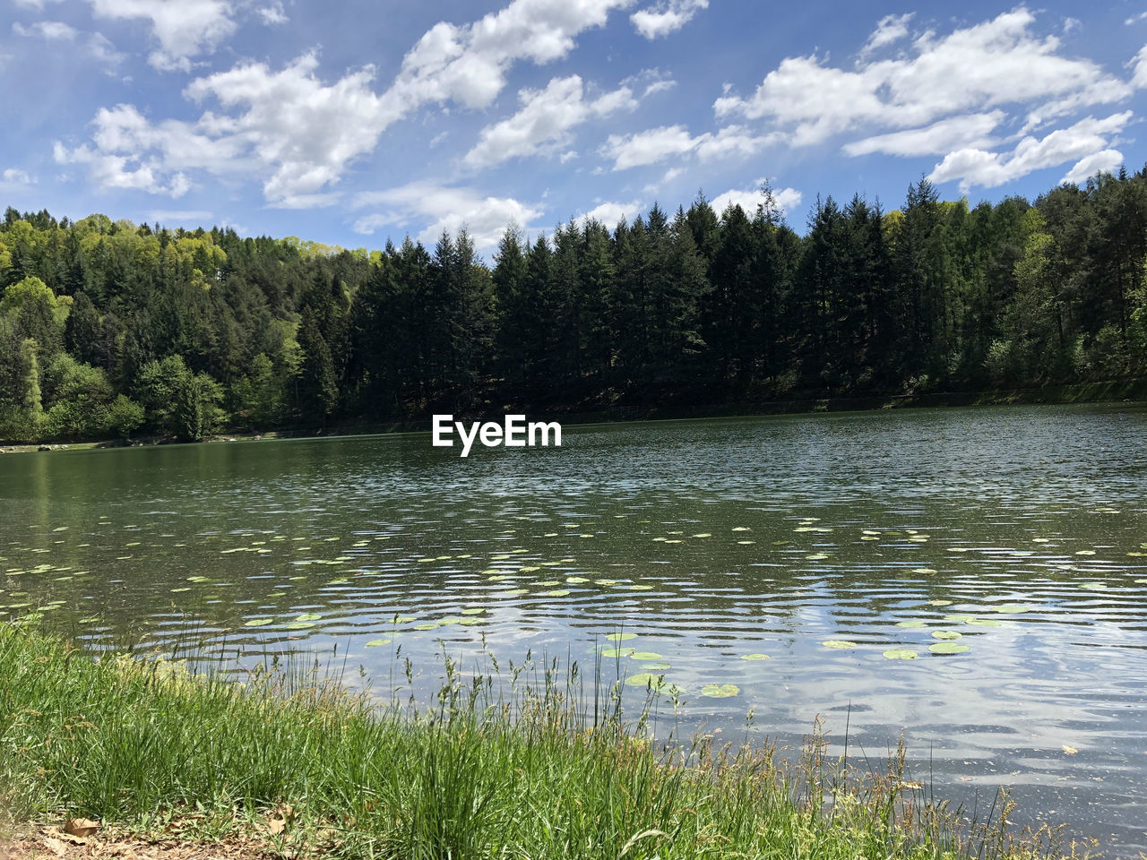 SCENIC VIEW OF LAKE BY TREES AGAINST SKY