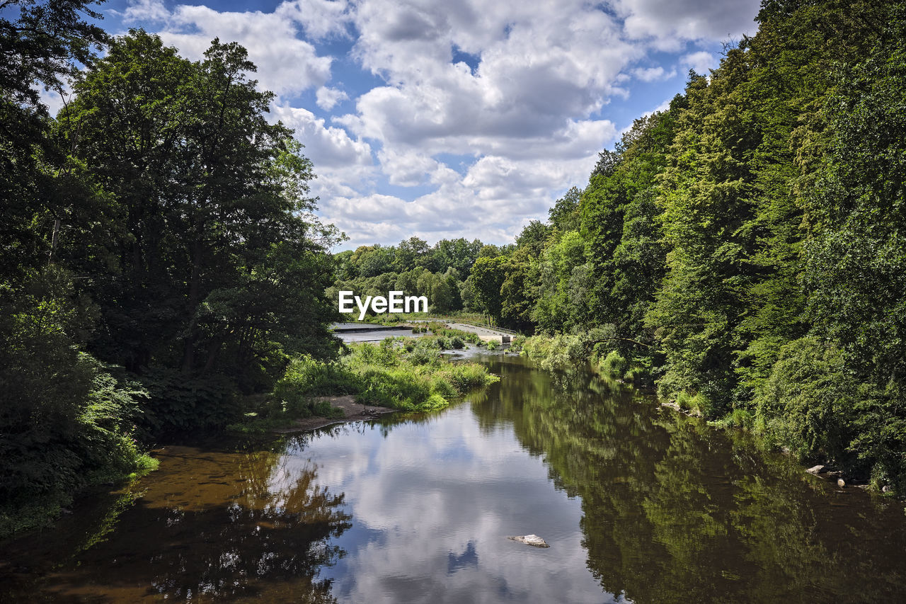 SCENIC VIEW OF LAKE AND TREES AGAINST SKY