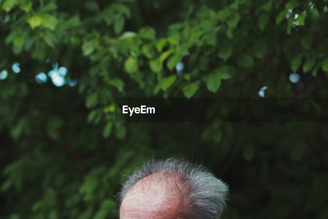 Close-up senior man against trees