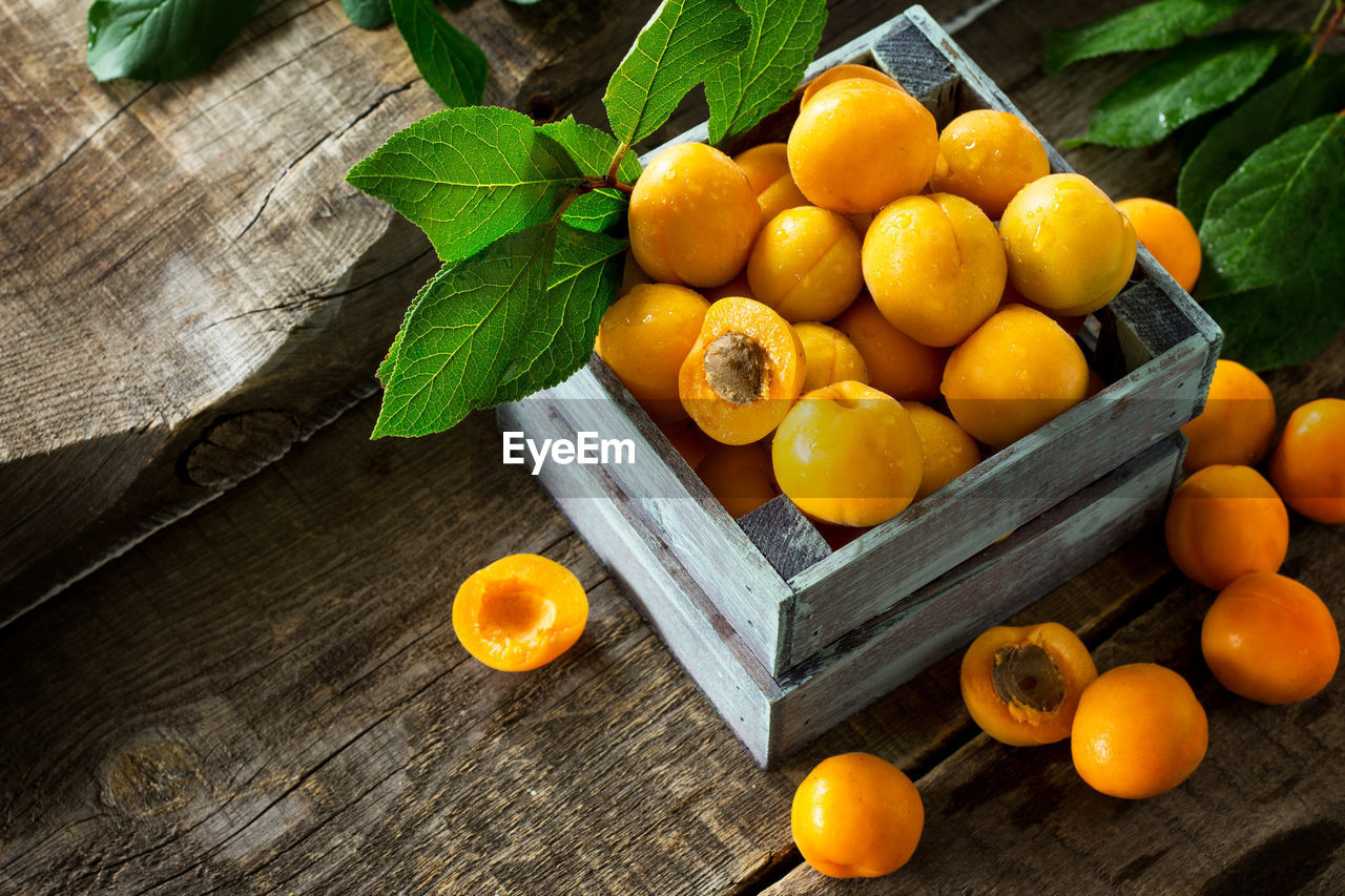 HIGH ANGLE VIEW OF ORANGE FRUITS ON TREE