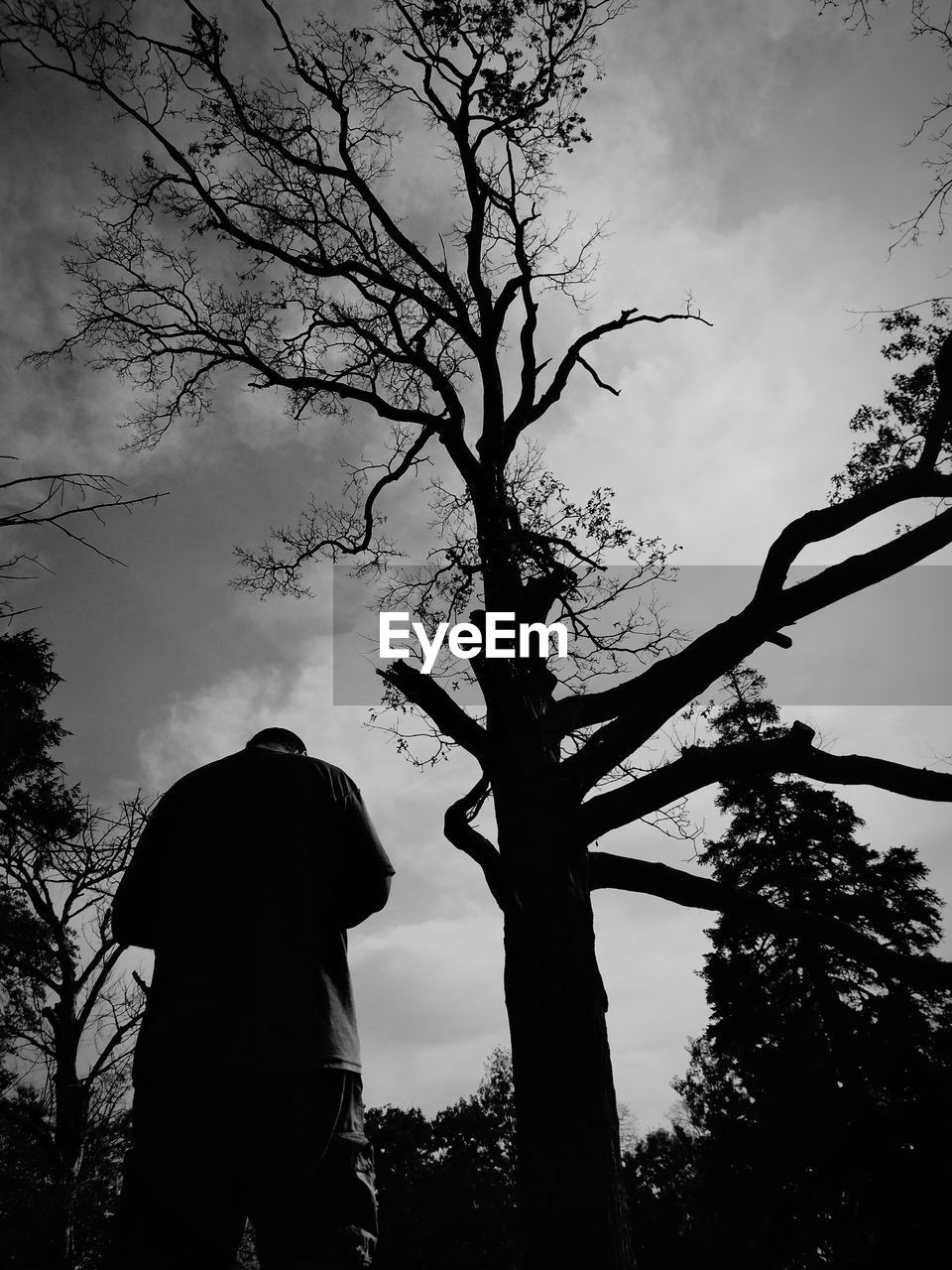 Rear view of silhouette man standing by bare tree against sky