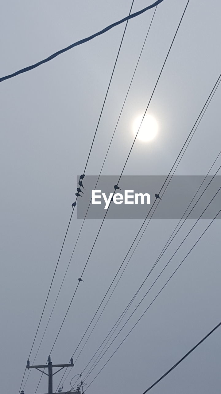 LOW ANGLE VIEW OF POWER LINES AGAINST SKY