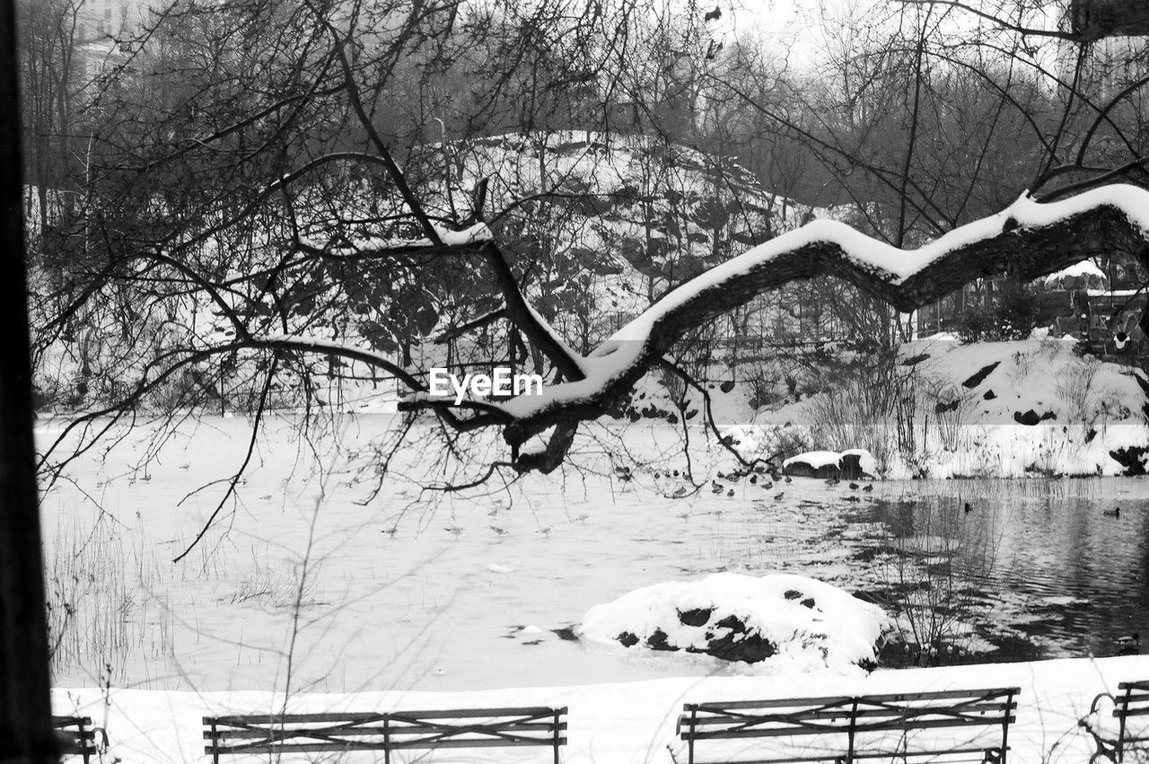 BARE TREE ON SNOW COVERED LANDSCAPE AGAINST SKY