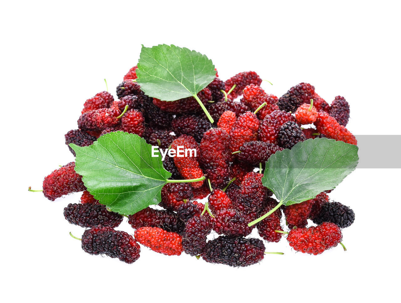 Close-up of mulberries against white background