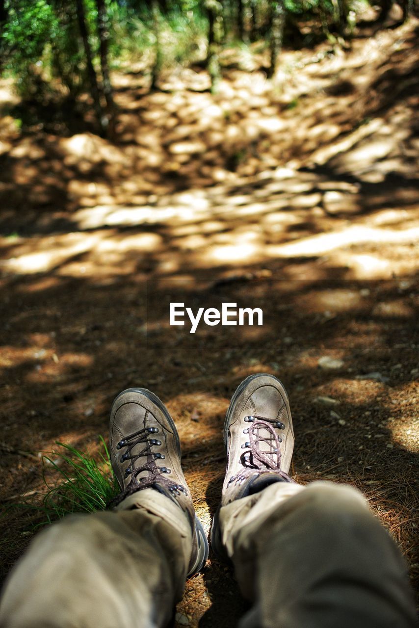 personal perspective, shoe, low section, nature, human leg, one person, forest, lifestyles, land, leisure activity, green, limb, sunlight, grass, human limb, day, men, plant, tree, autumn, outdoors, standing, footwear, leaf, human foot, adult, high angle view, spring, selective focus, casual clothing, relaxation