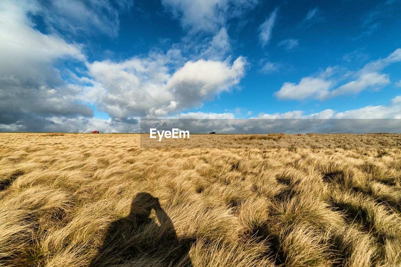 Idyllic view of grassy landscape against sky