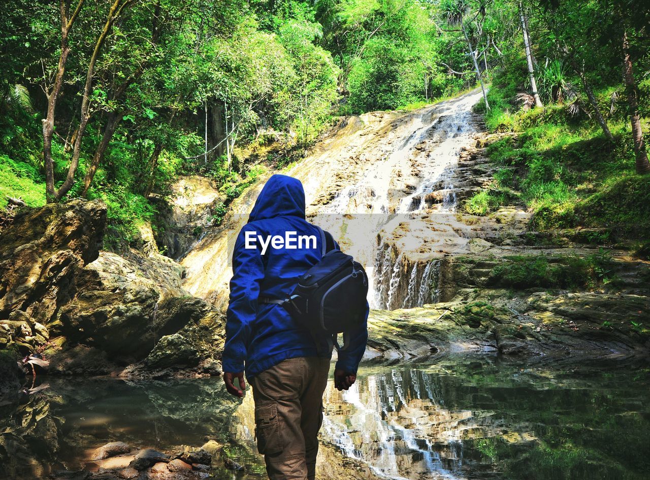 Rear view of man standing by waterfall at forest