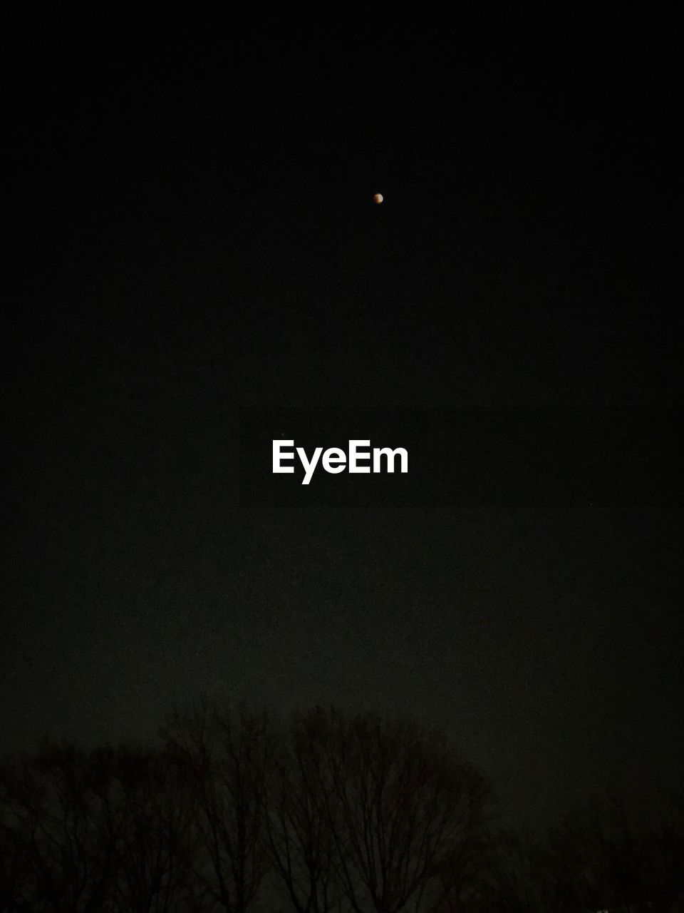 LOW ANGLE VIEW OF BARE TREE AGAINST CLEAR SKY AT NIGHT