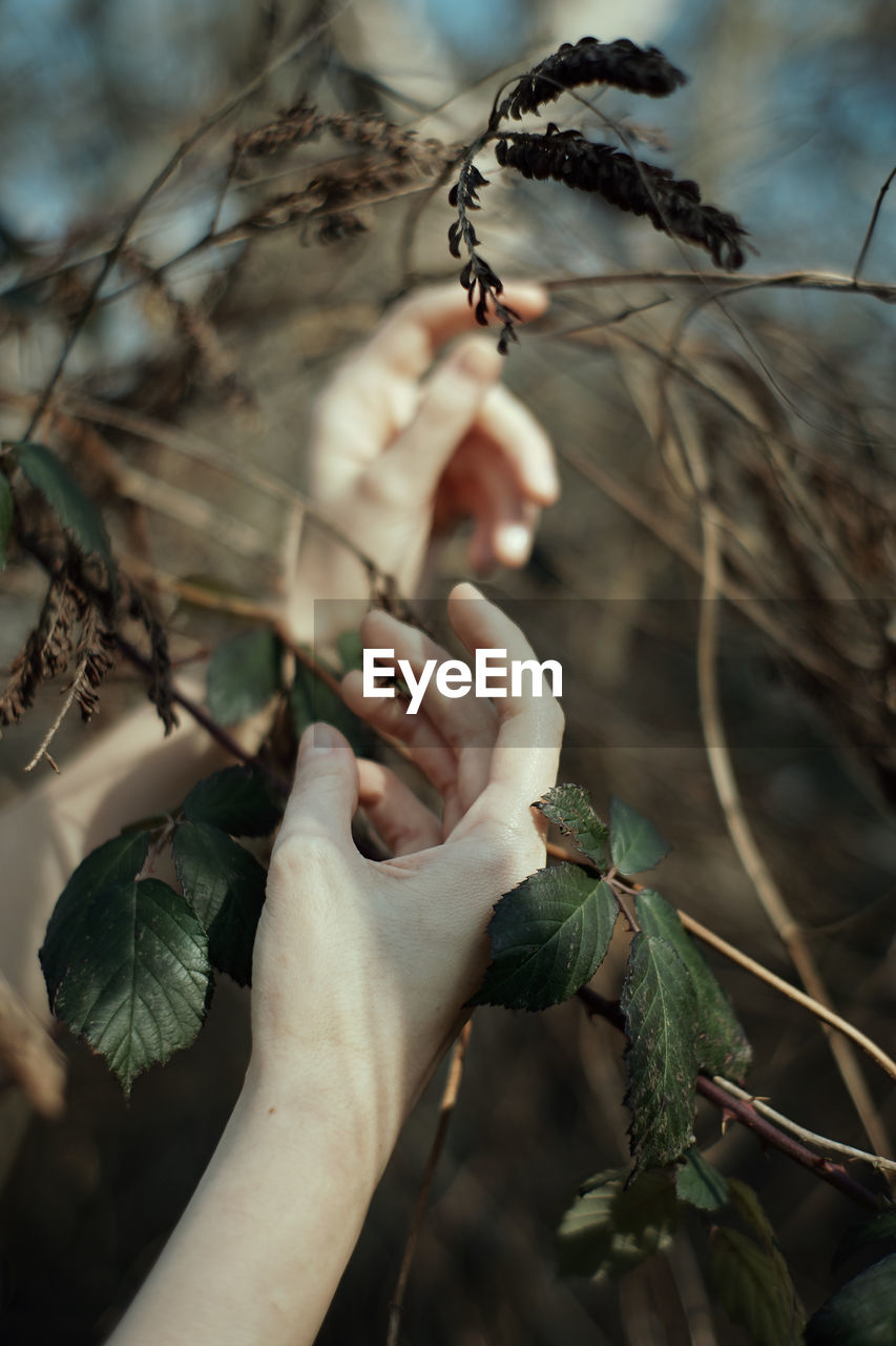 Close-up of hand gesturing on field 