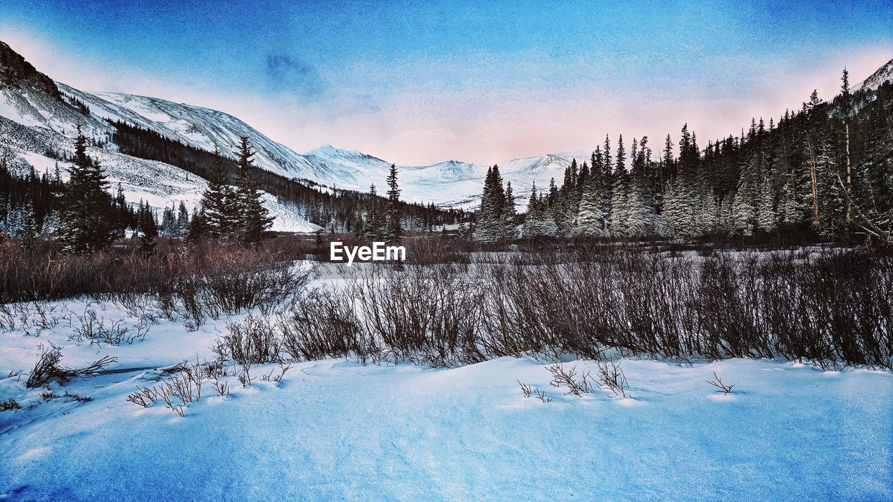 SNOW COVERED LANDSCAPE AGAINST SKY