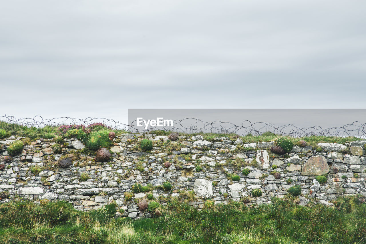 FLOWERS GROWING BY WALL AGAINST SKY