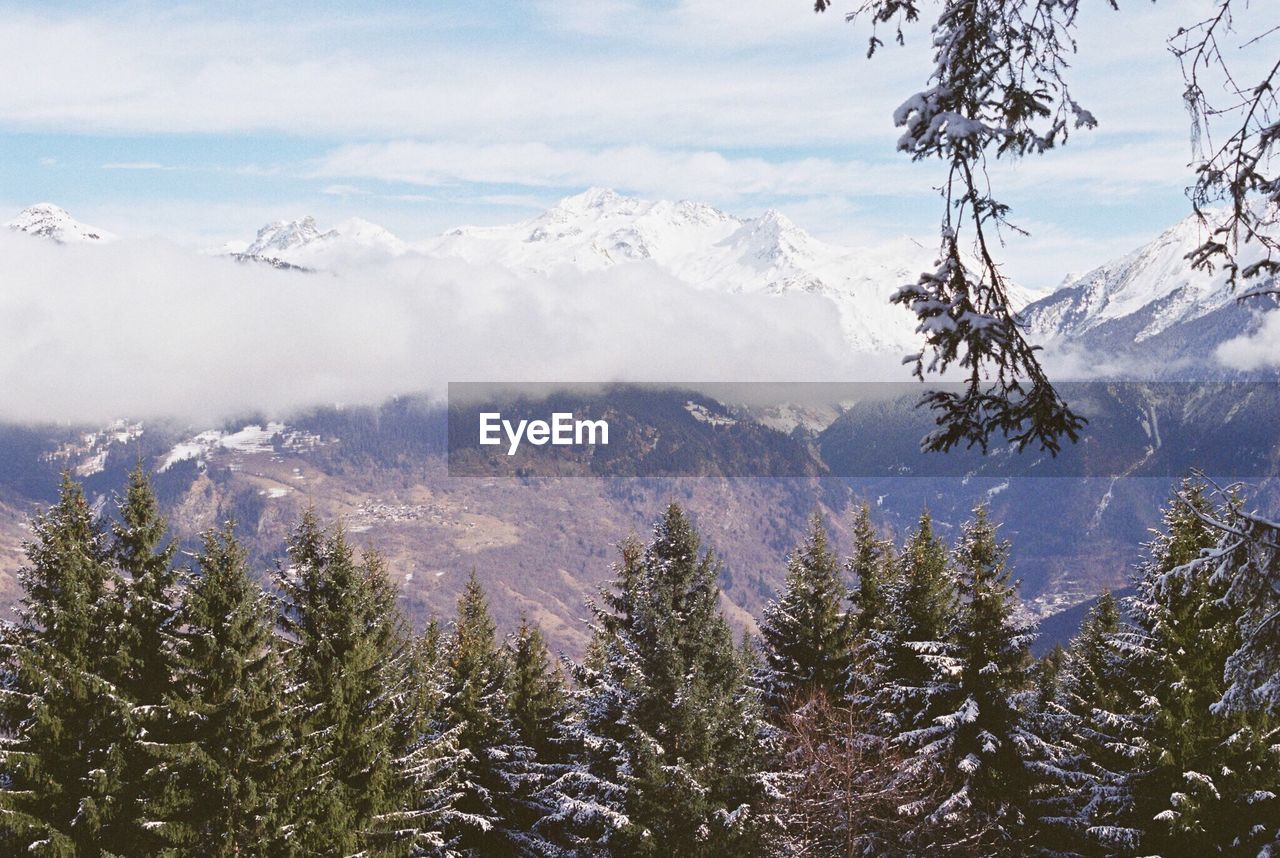 SCENIC VIEW OF TREES ON MOUNTAINS AGAINST SKY