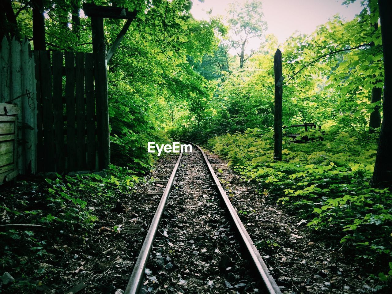 Railroad tracks amidst trees in field