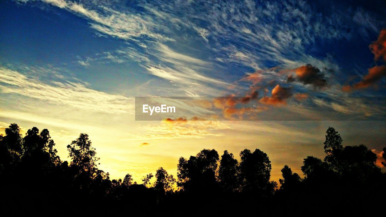 Silhouette landscape at sunset