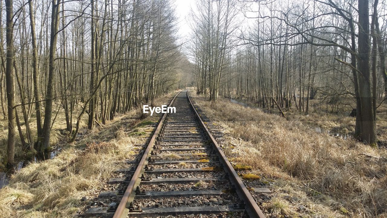 RAILROAD TRACK ALONG TREES