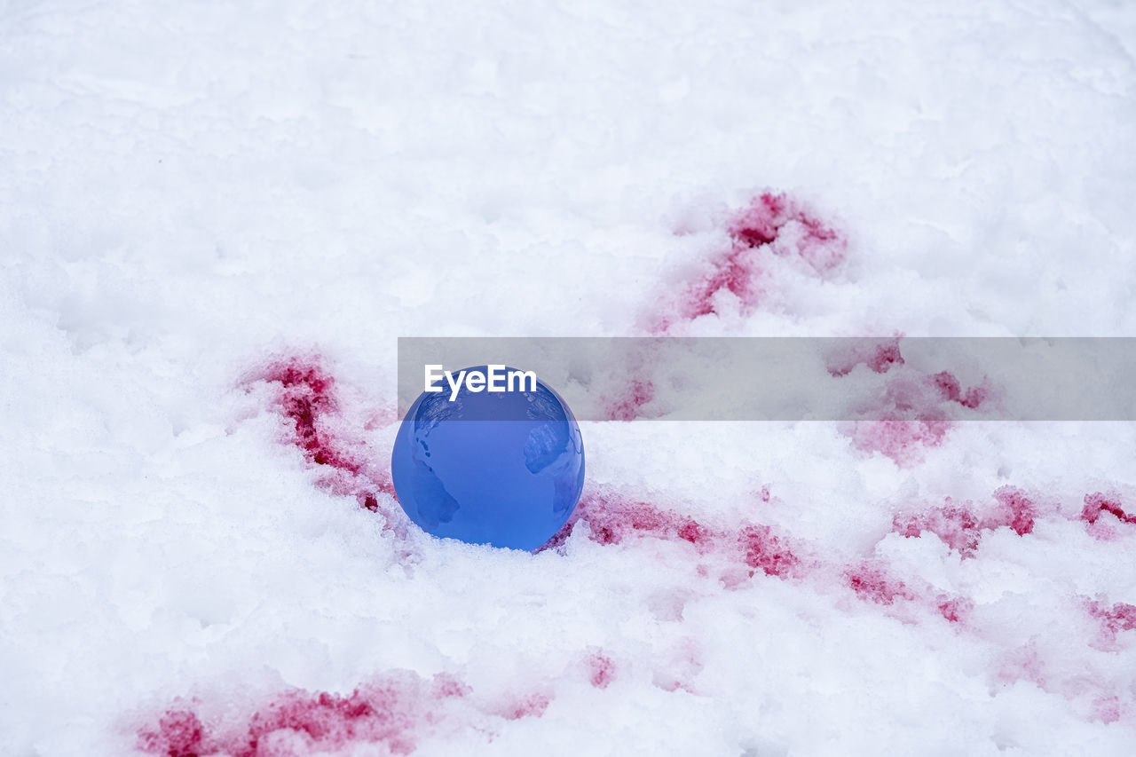 snow, freezing, cold temperature, winter, pink, nature, petal, frozen, no people, blizzard, white, ice, frost, outdoors, high angle view, winter storm, blue