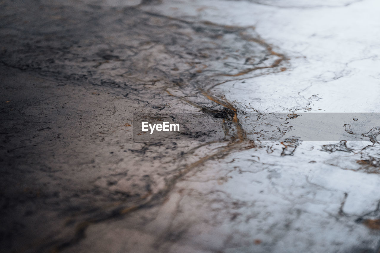 High angle view of insect on snow