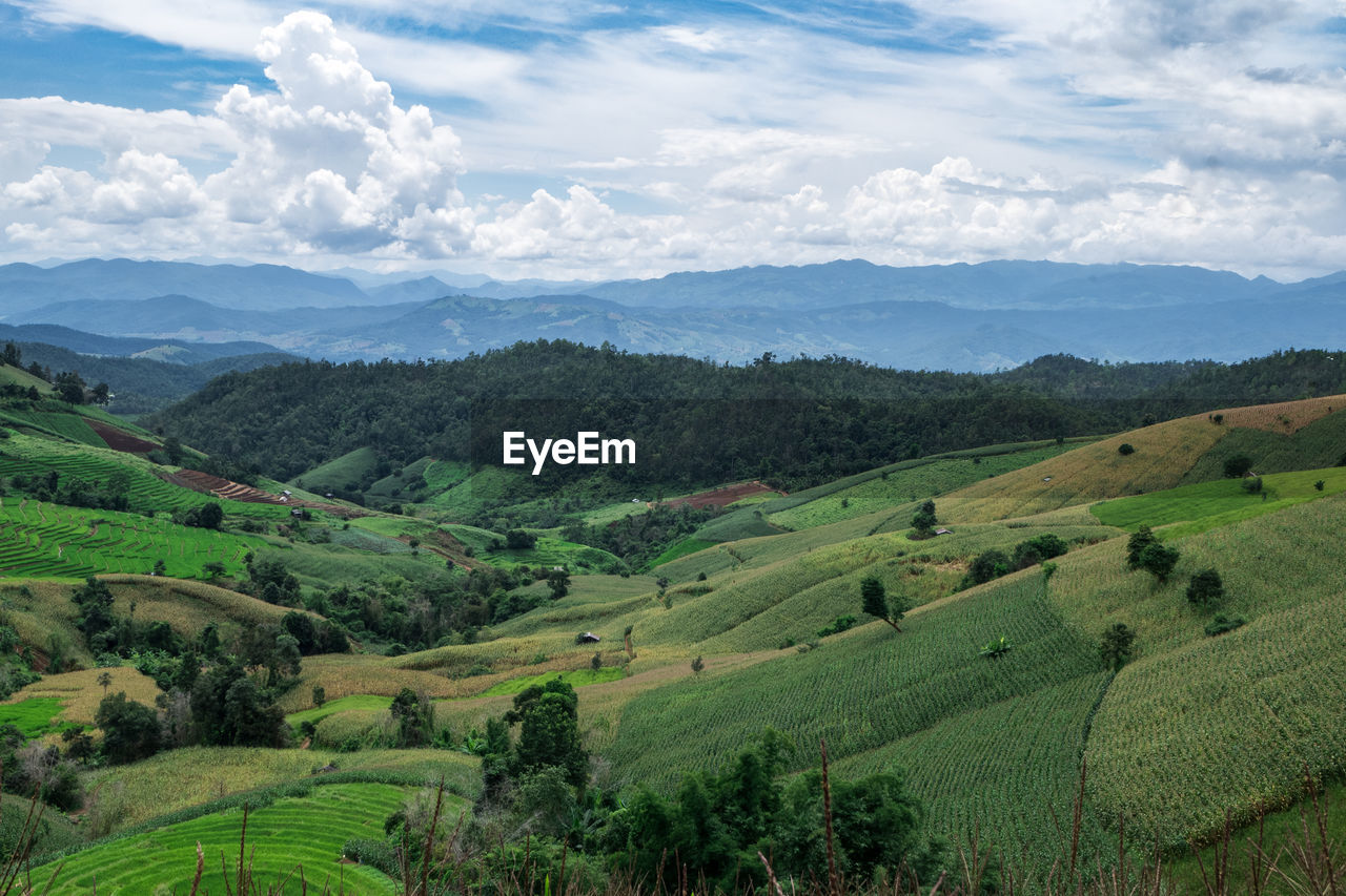 SCENIC VIEW OF FARM AGAINST SKY