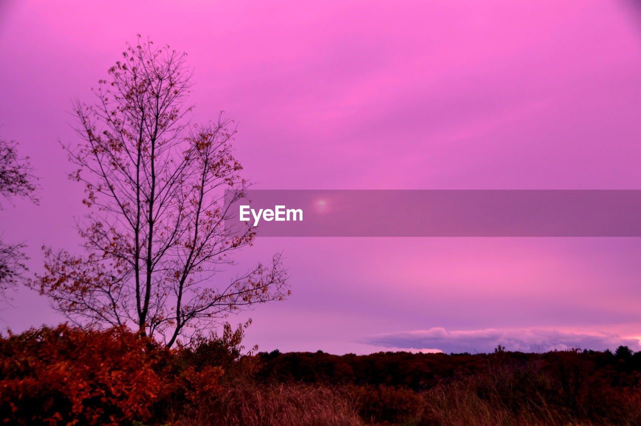 Dramatic sky over landscape