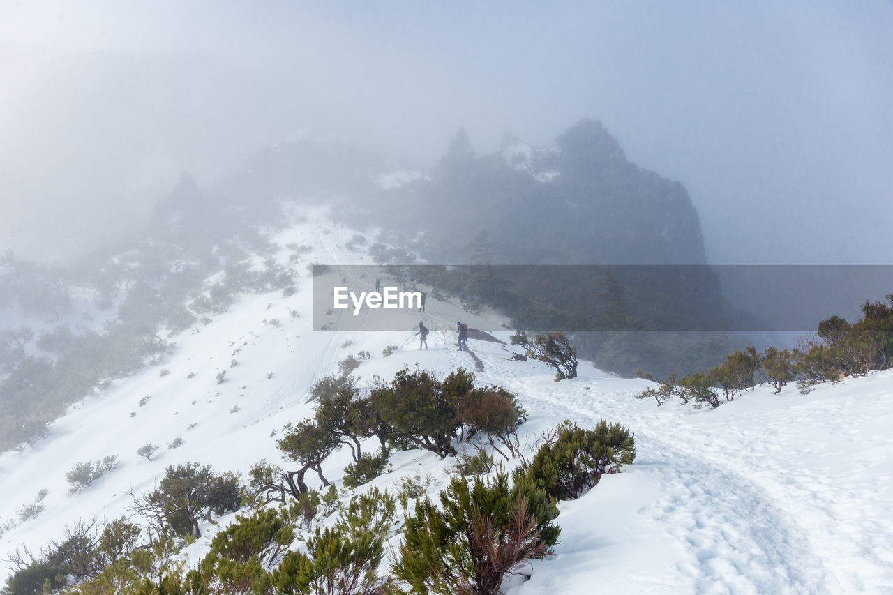 Overview of pico ruivo footpath covered with snow in santana, madeira island