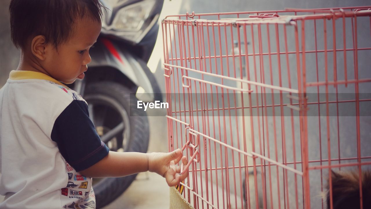 Side view of baby boy touching birdcage