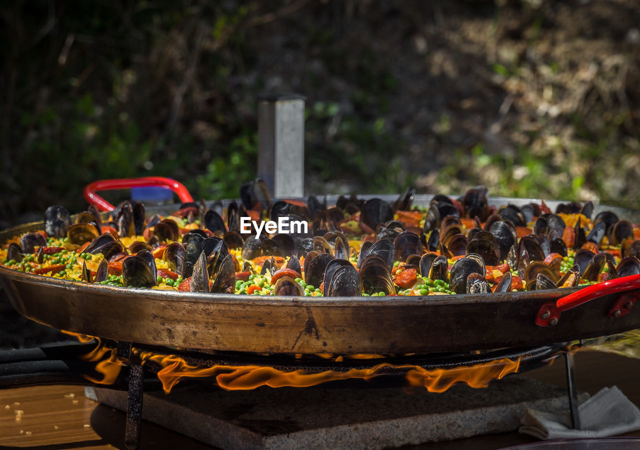 Close-up of mussels cooking in pan on gas stove burner outdoors