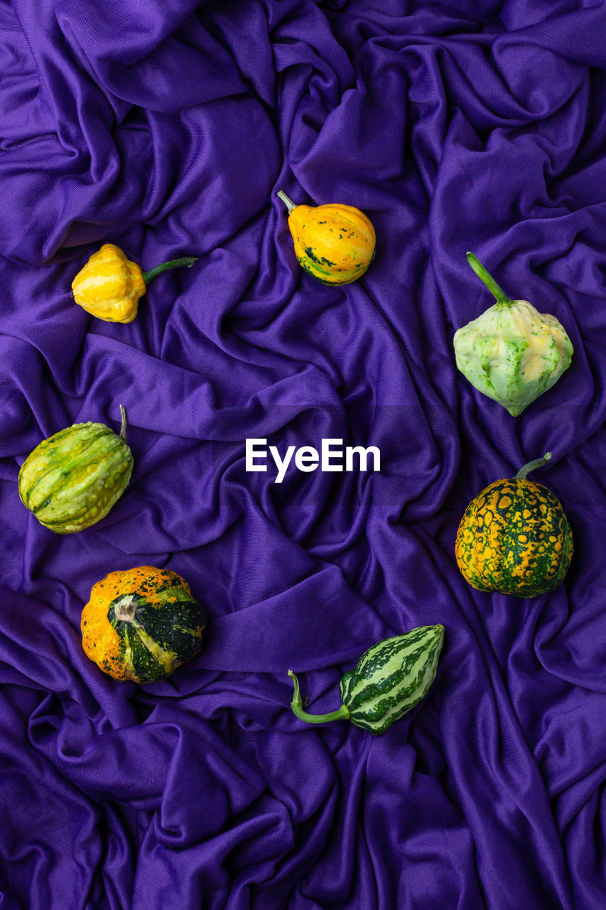 Autumn cirlce concept of pumpkin.creative purple background