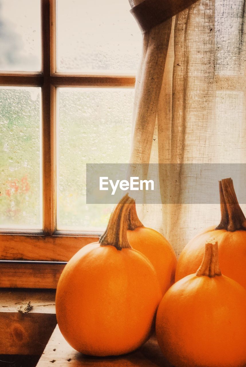 CLOSE-UP OF ORANGES AND WINDOW