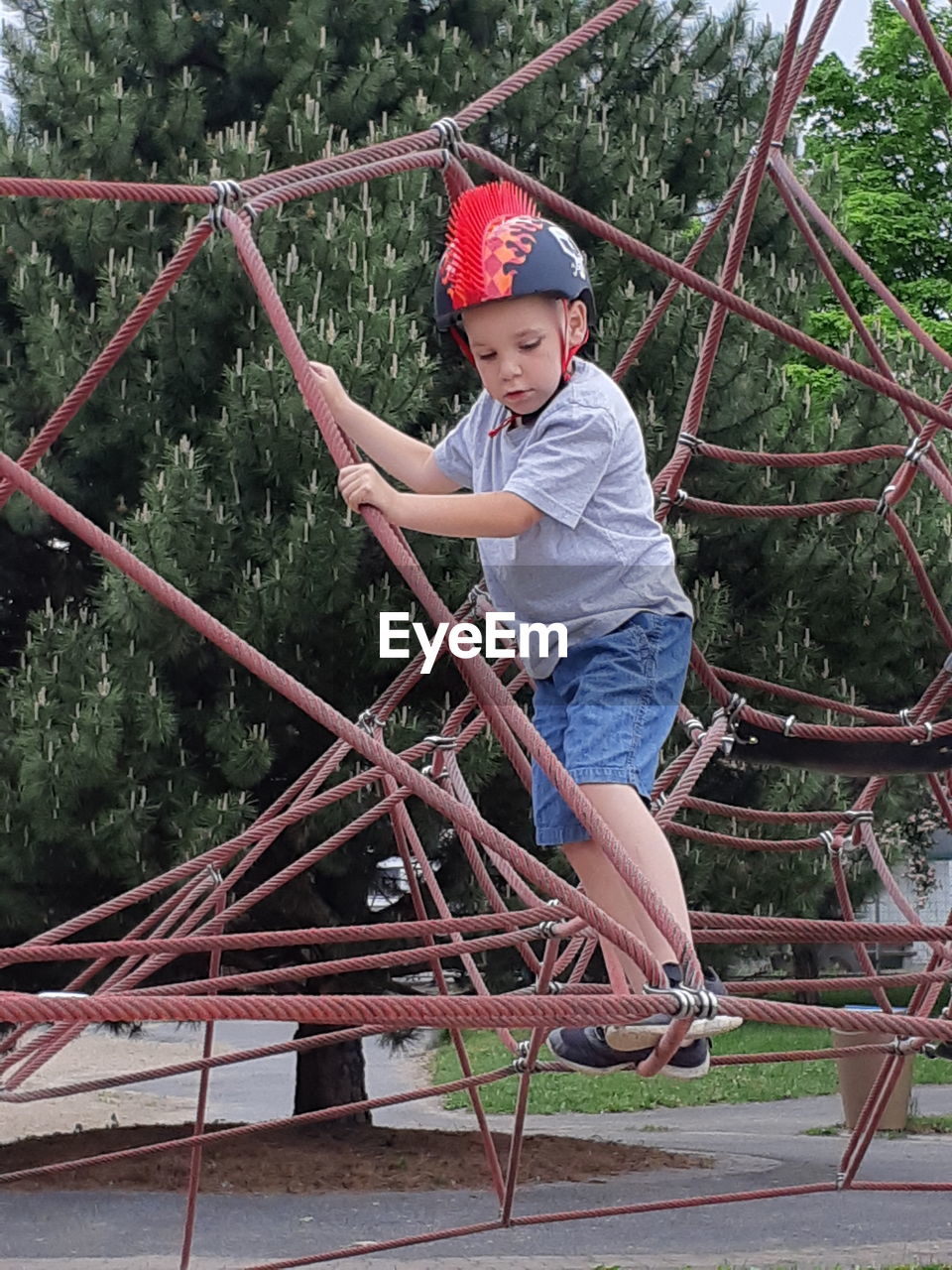 FULL LENGTH OF BOY STANDING ON TREE