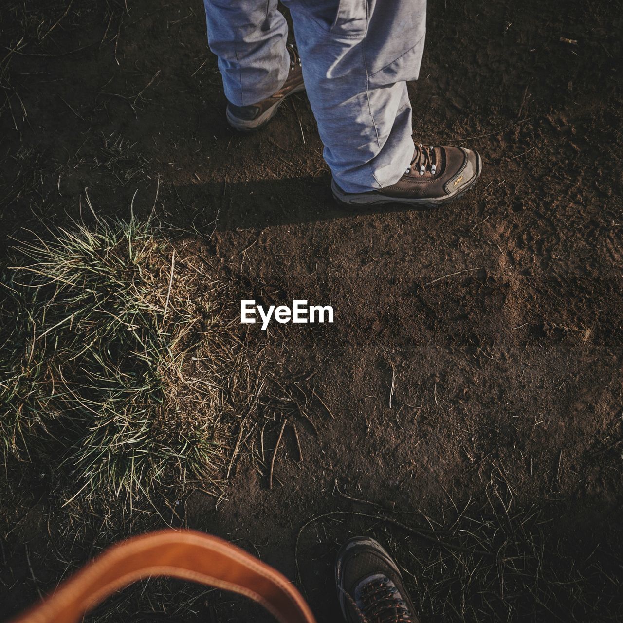 Low section of man standing on field