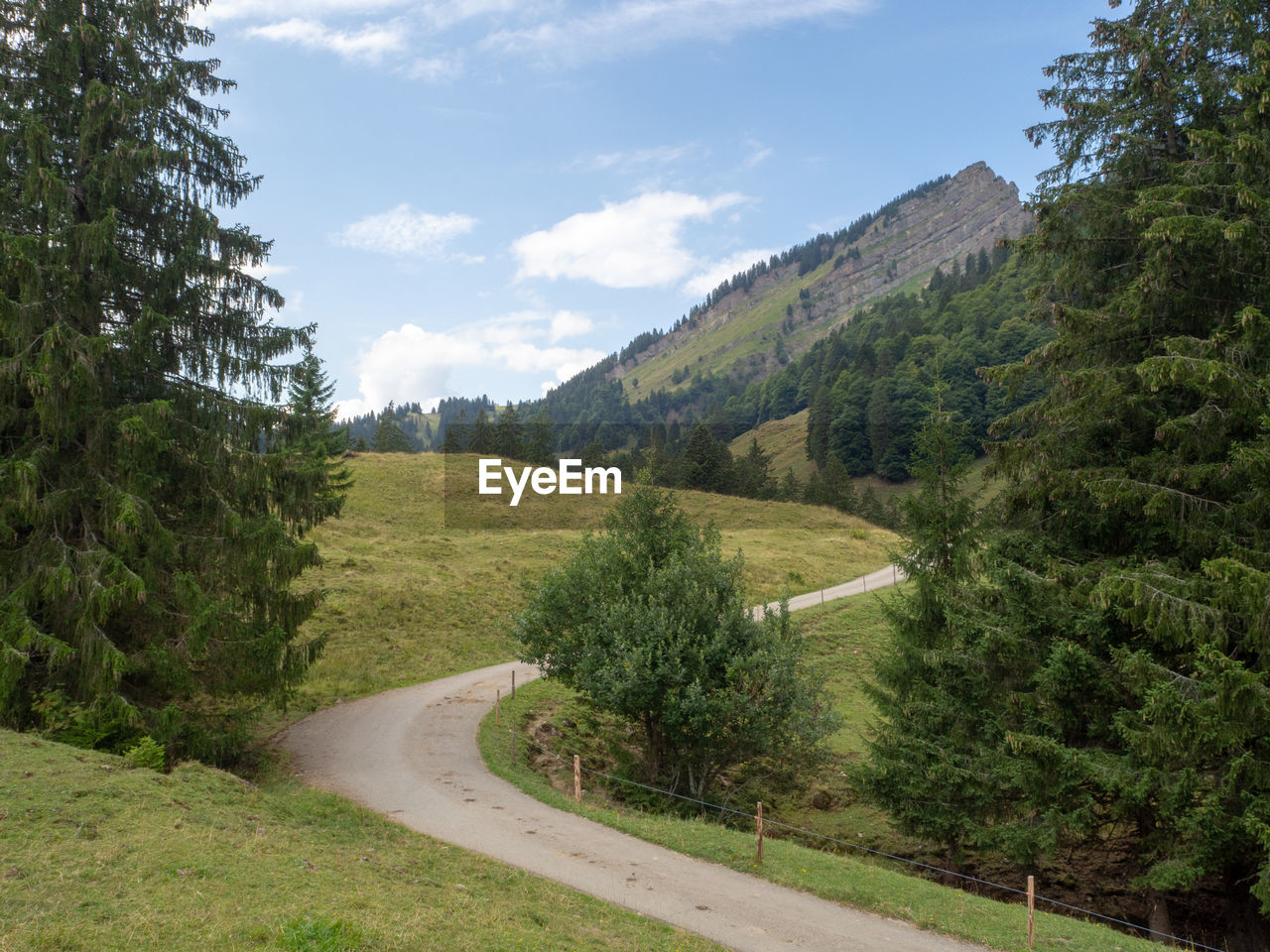 Road amidst green landscape and trees against sky