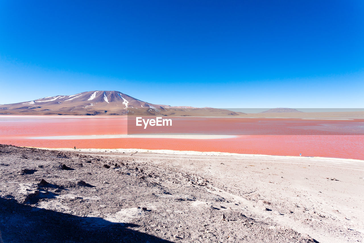 SCENIC VIEW OF DESERT AGAINST BLUE SKY