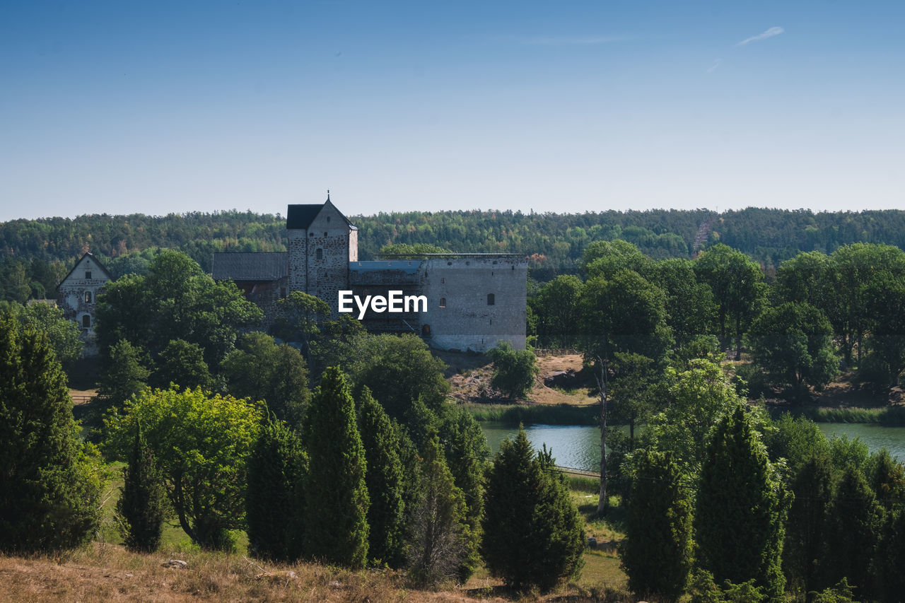 Castle surrounded by forest